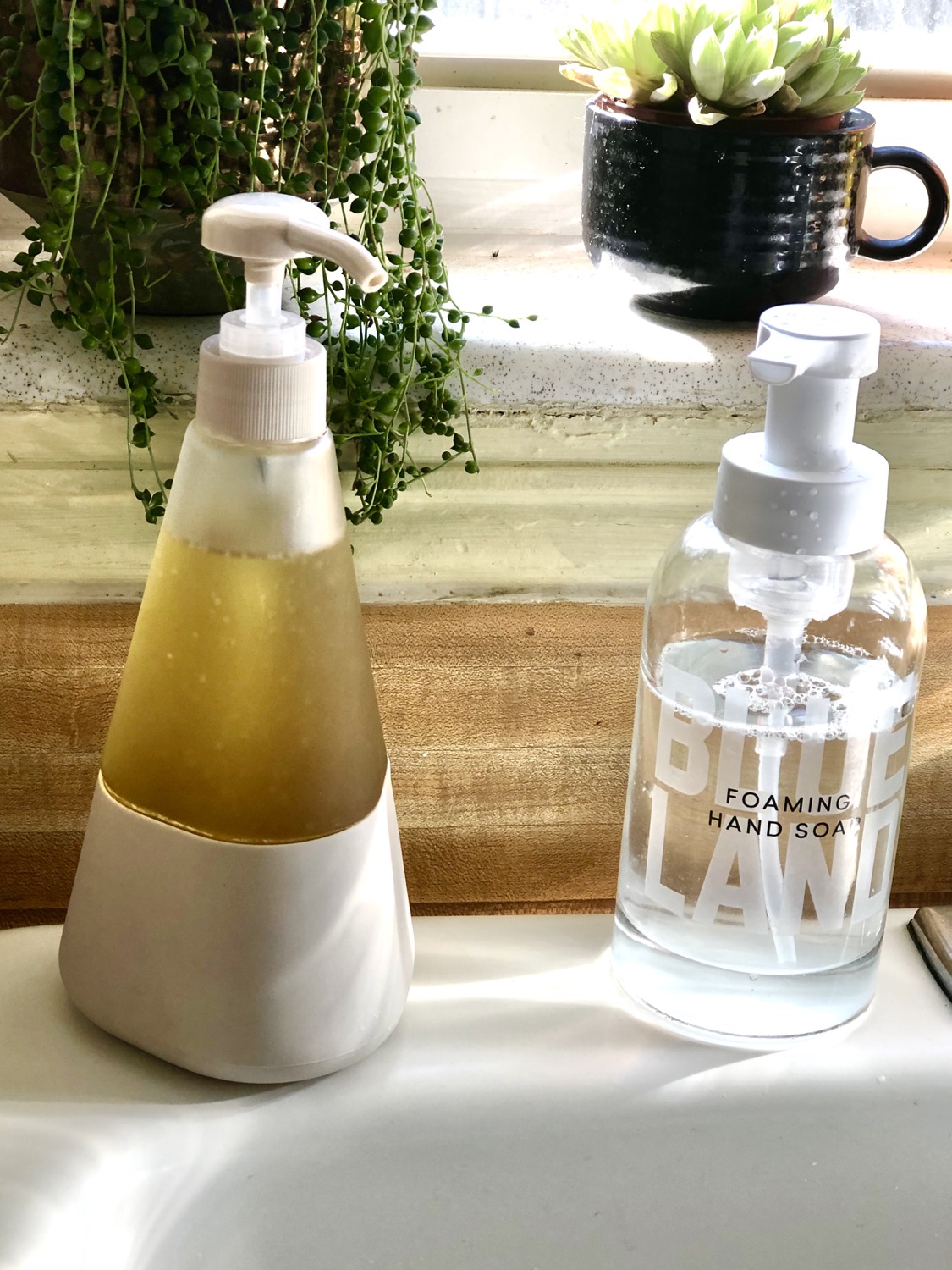 two dispensers of soap sitting on a kitchen sink surrounded by plants