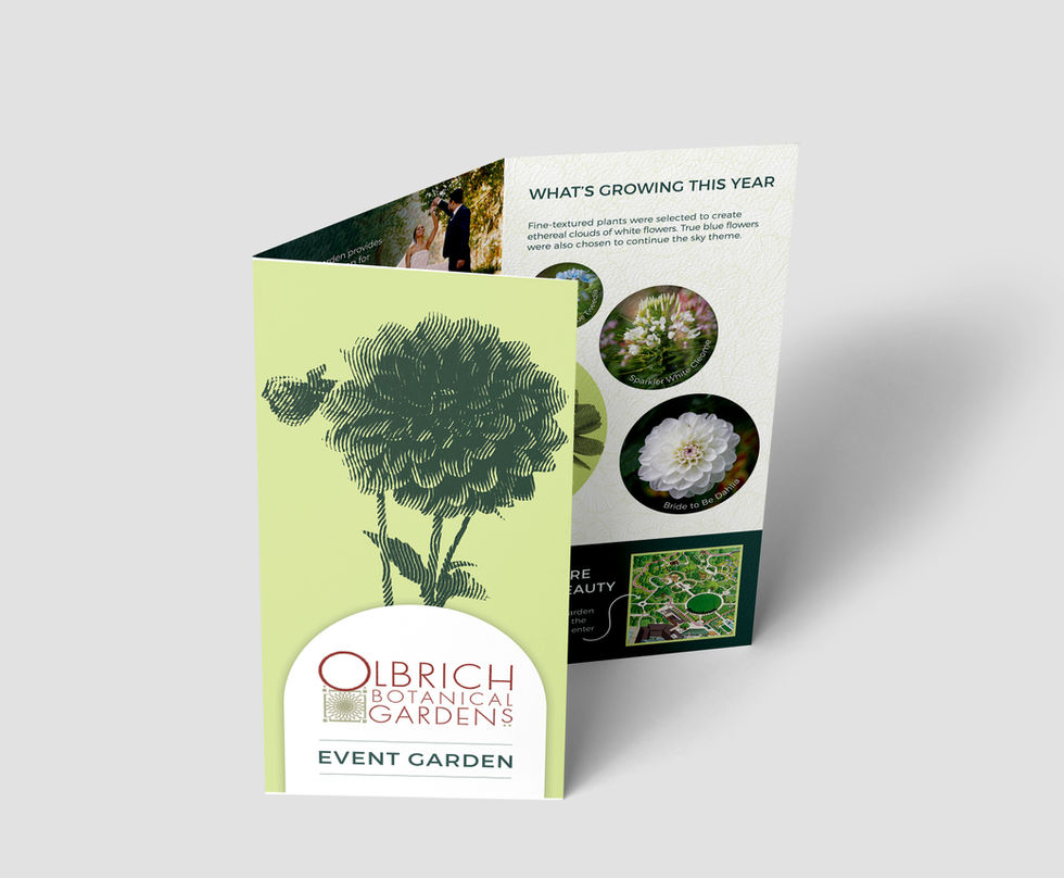 Olbrich Brochure Mockup