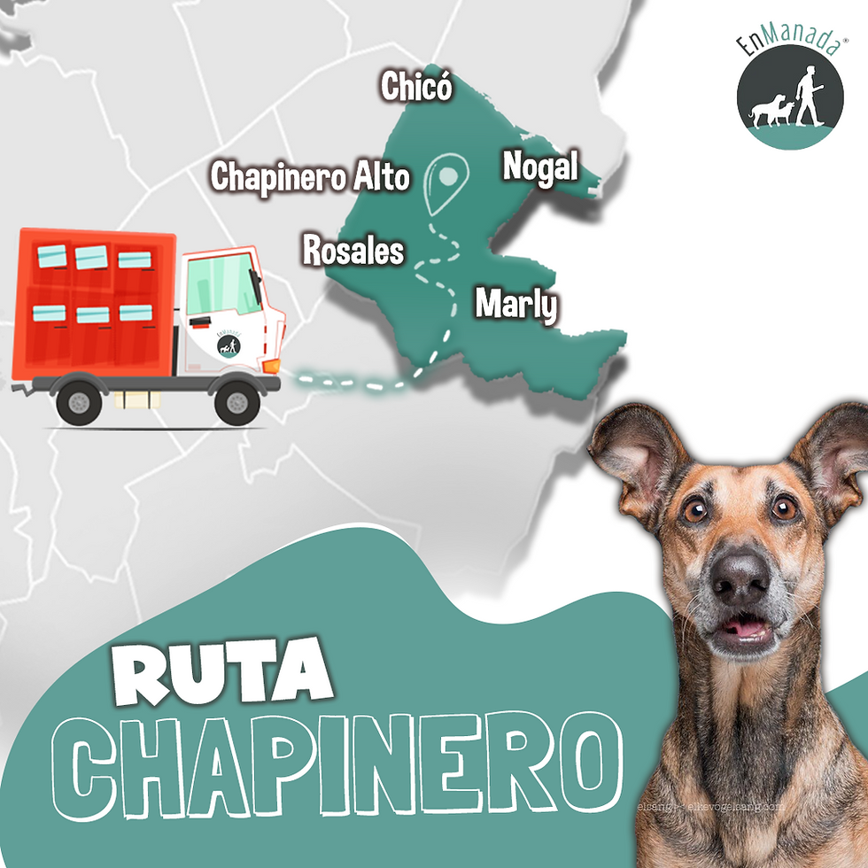 Ruta Chapinero