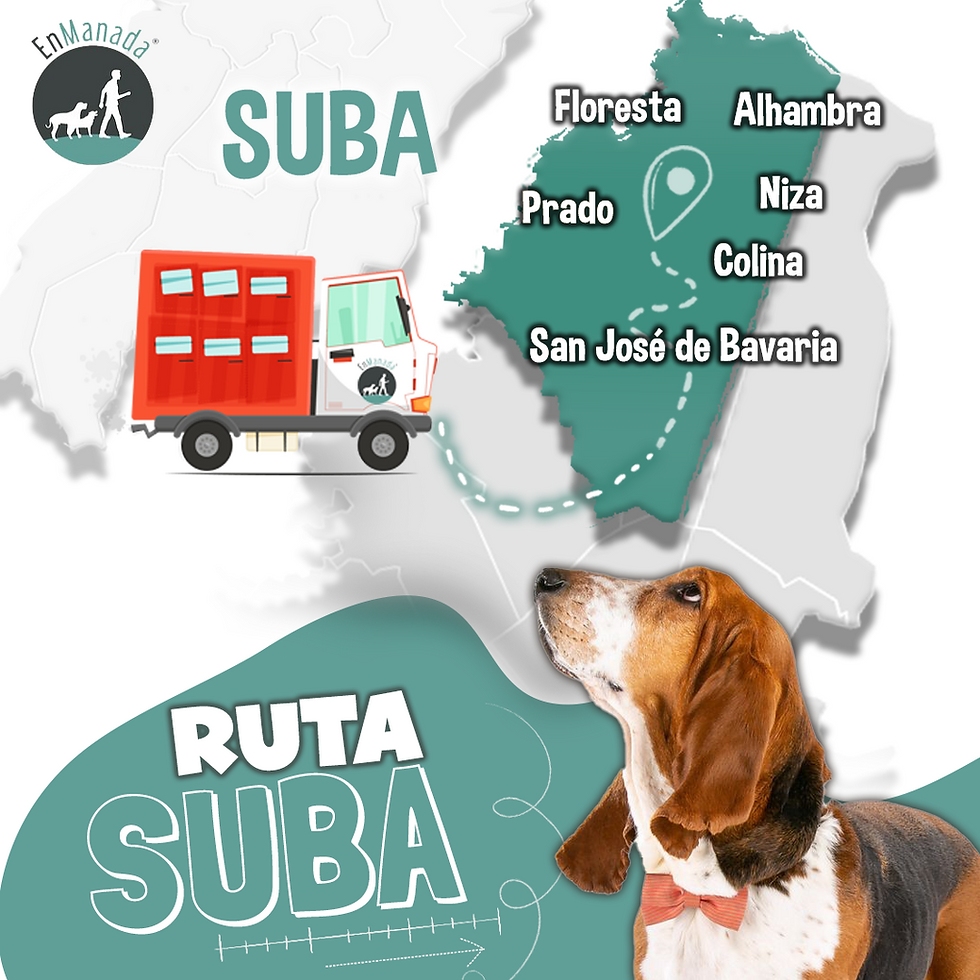 Ruta Suba En manada
