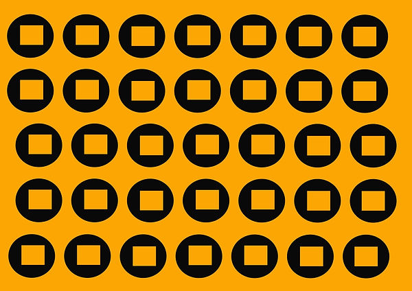 development paula.jpg