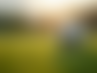 Cómo elegir el balón de fútbol perfecto