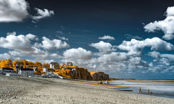The Shore