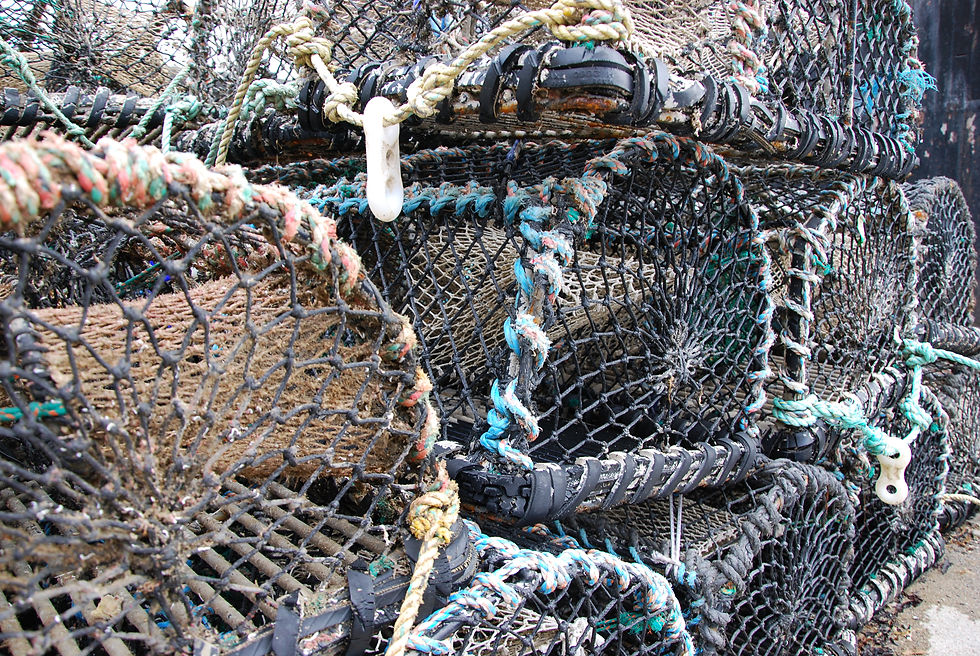 Lobster Pots