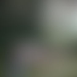 Votez pour notre vidéo : Prix de la plus belle campagne 2024