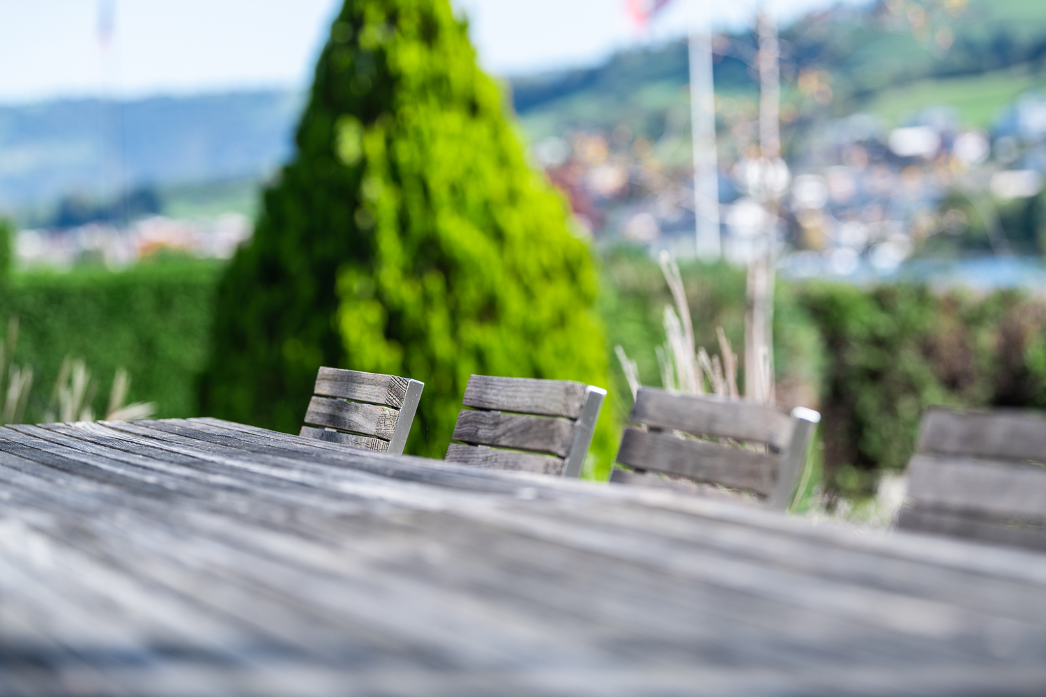 Schindler Gärten GmbH / Ihr Gärtner in LuzernZugSchwyz