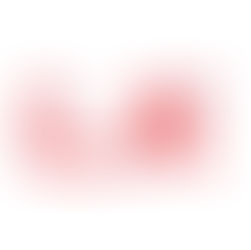 【プレゴスクール年末・年始の予定について】