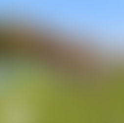 【2025.11.30（日） U7/8/9/10/12/13  ロヴェストグラウンドでトレーニング】