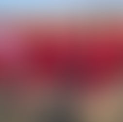 【2025.12.25（木）~28（日） U14/13 和歌山サッカーフェスティバル】