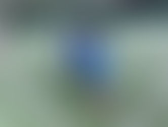 【2026.2.7(sat) U7 JOGA CUP ＠ＥＲＣ神戸すずらんの森フットボールスタジアム】