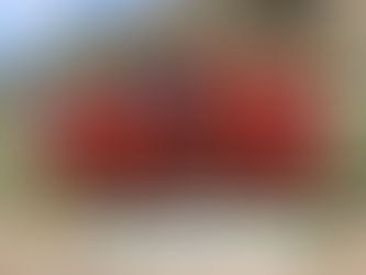 【2026.4.11(sat)  U10 ガンバ大阪ミニCUP戦優勝！】