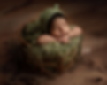 verde-2.png