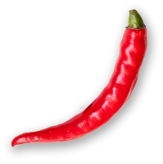 spice9.webp