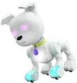 18.webp