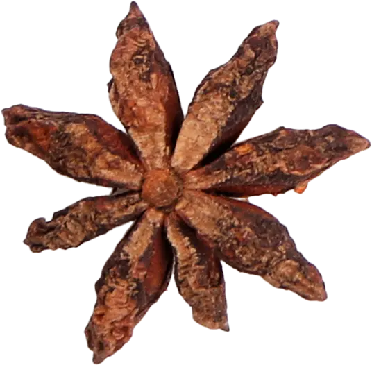 spice3.webp
