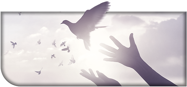 woman-praying-free-bird (1) copy.png