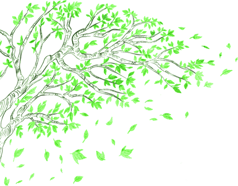 TREE GREEN.png