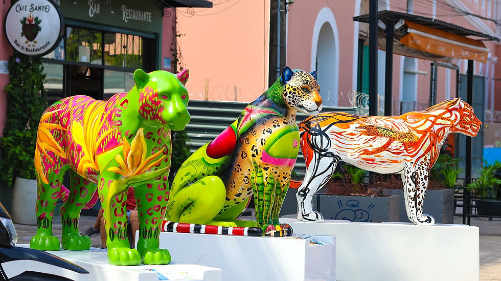 Imagem: Britto Elson / Divulgação.