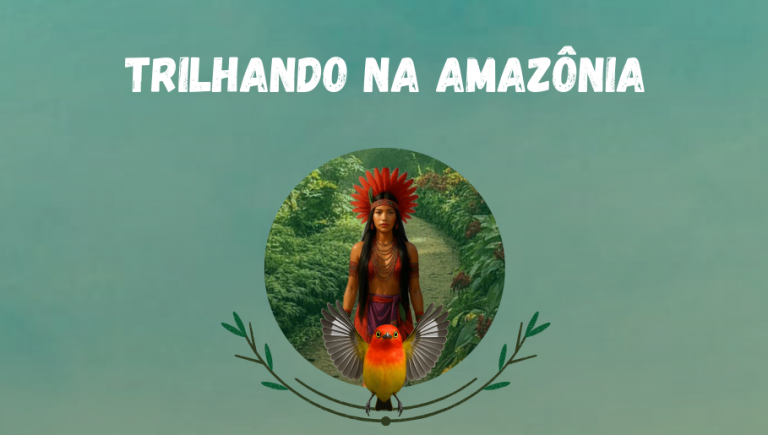 Imagem: divulgação.