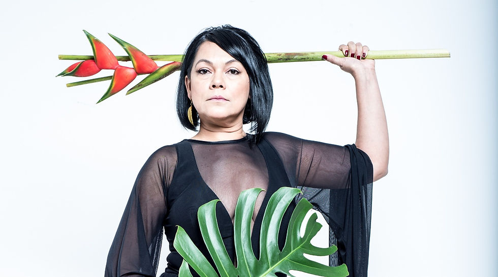 Imagem: Divulgação.