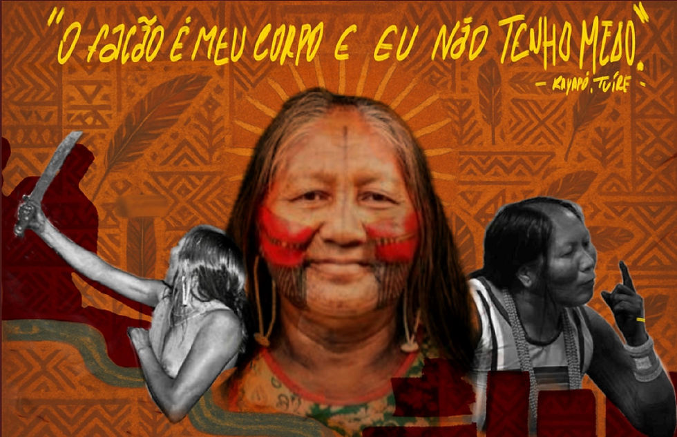 Imagem: divulgação.