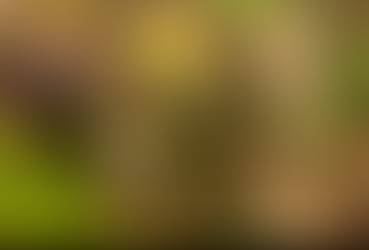 Fotografia do ensaio "Iara", de Natacha Bitar. - Divulgação.