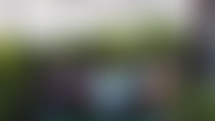 Sambroca leva samba e gastronomia ao coração de São Brás neste domingo