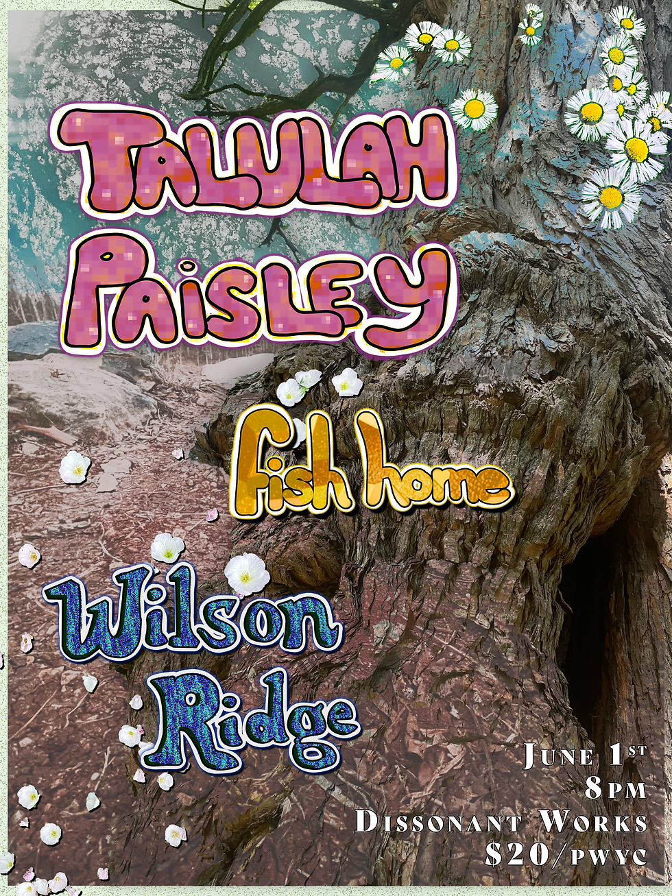 Talulah Paisley | Wilson Ridge | fish home