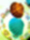 waxshellandrealshell