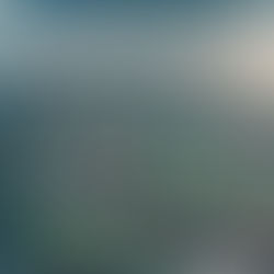 What are Microplastics? 