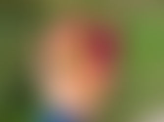 Den 232 - odpočinkovým tempem