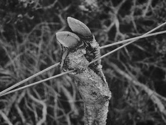 Část šestadvacátá - Krajina bez slitování