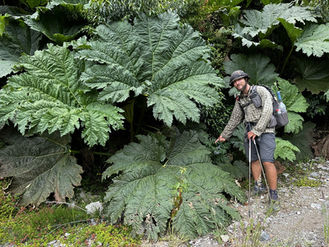 Část sedmnáctá - Návrat do Valdivie 