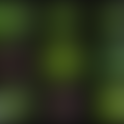 garden planting starts indoors