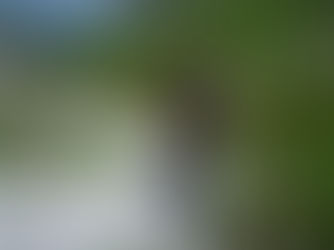 Laguz – Formarinsee