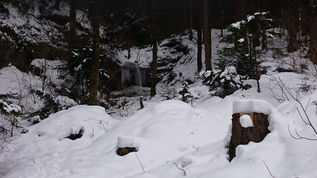 Keine Eisbären in Sicht…