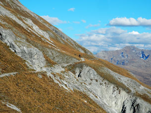Chörbschhorn