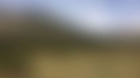 Valschavieler Jöchle