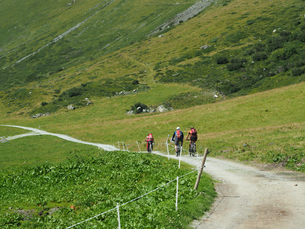 Vergalden Alpe 1820m