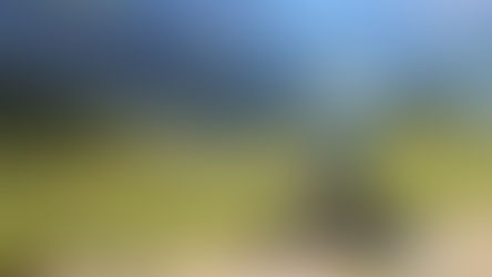 Citius, altius, fortius…