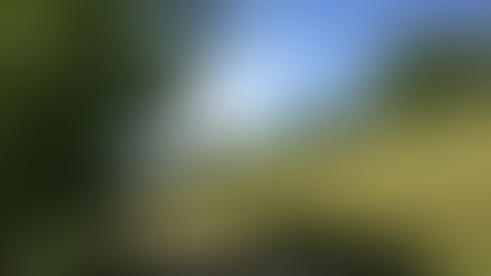 Fraxern – Weiherweg