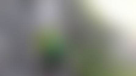 Hochjoch Klettersteig