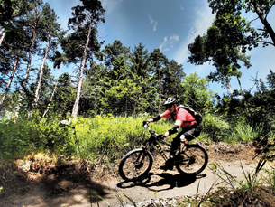 Bikepark Muttersberg