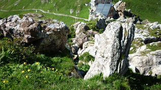 Pfälzer Hütte – Schesaplana (2965 m)