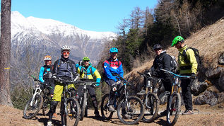 FORST im Getriebe ;-) ?