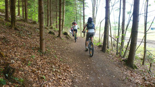 Spritztour zum Schafplatz