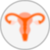 Endometrial Receptivity Analysis increases chances of conception during IVF