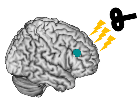 Welcoming applications for a research assistant to work on a new project using our robotic TMS system