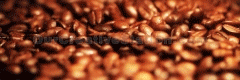 CAFFEINE-CORNER_240X80_V03_WL.gif