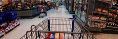 02_WELLINGTON-MART_240X80_V02_WL.gif